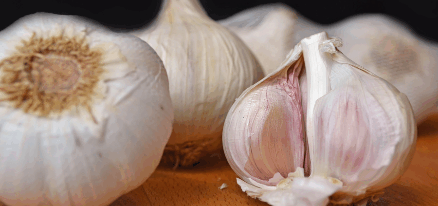 Knoblauch